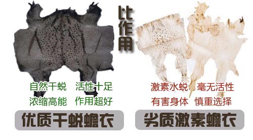 如何選擇好蟾衣？您踩坑了嗎？