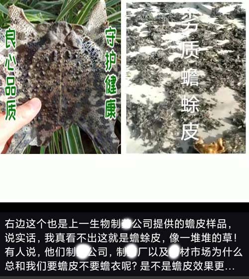 劣質(zhì)蟾蜍皮.jpg