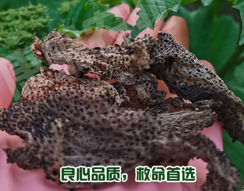 用不用蟾衣，你聽(tīng)誰(shuí)的？